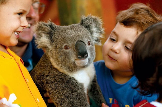 NGÀY 05:  MELBOURNE – DANDENONG (Ăn sáng, trưa, tối)