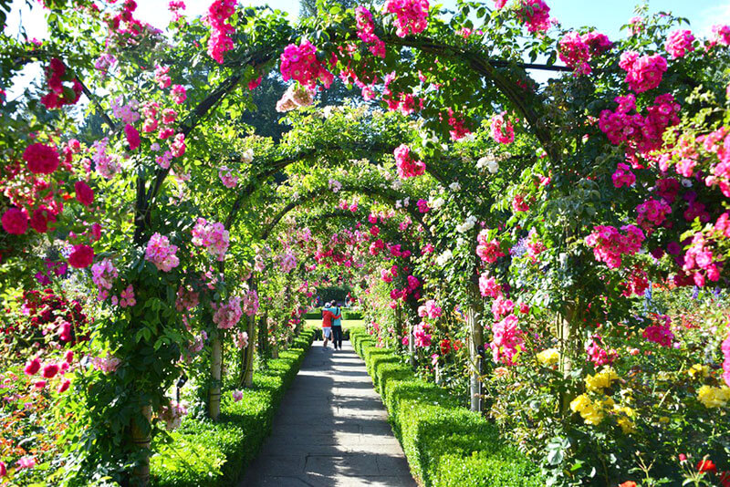 NGÀY 03 VANCOUVER - VICTORIA (ĂN SÁNG – TRƯA – TỐI):