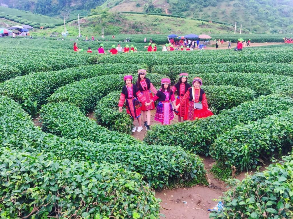 NGÀY 02	MAI CHÂU – MỘC CHÂU (Ăn sáng, trưa, tối)