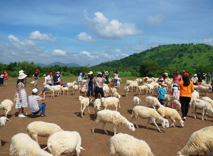 Đặt khách sạn số 1 Việt Nam